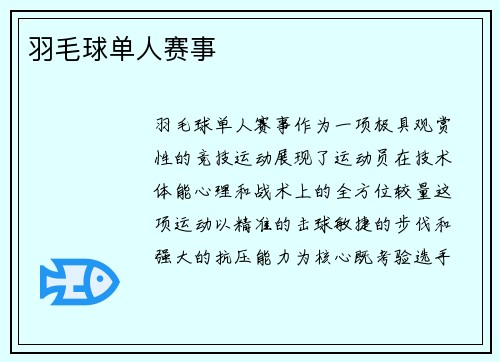 羽毛球单人赛事